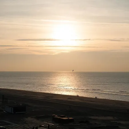 Marmoris * Zandvoort